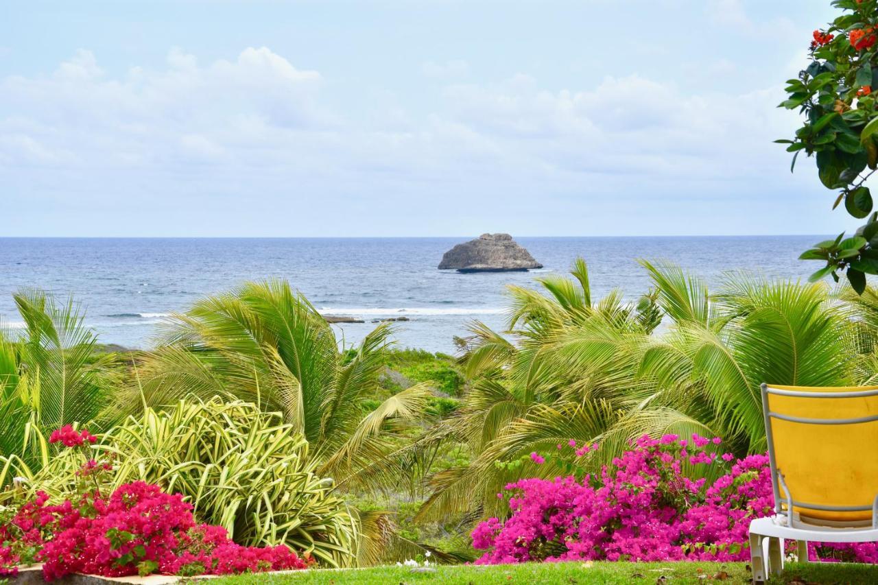 Villa Guadeloupe Saint Francois Acces Mer Piscine Iguana Bay - Villa Zagadi Dış mekan fotoğraf