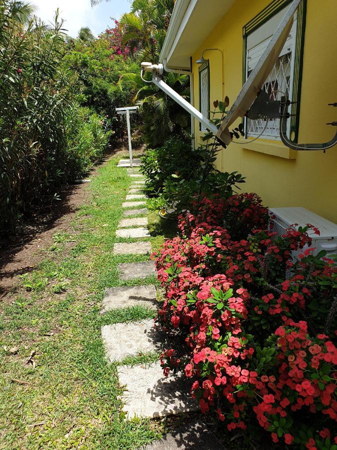 Villa Guadeloupe Saint Francois Acces Mer Piscine Iguana Bay - Villa Zagadi Dış mekan fotoğraf