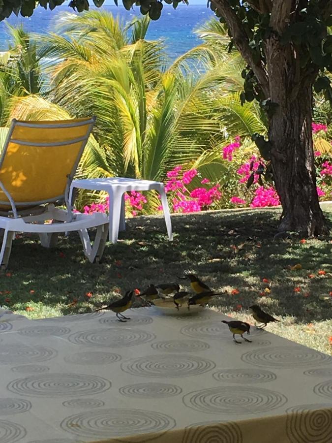 Villa Guadeloupe Saint Francois Acces Mer Piscine Iguana Bay - Villa Zagadi Dış mekan fotoğraf