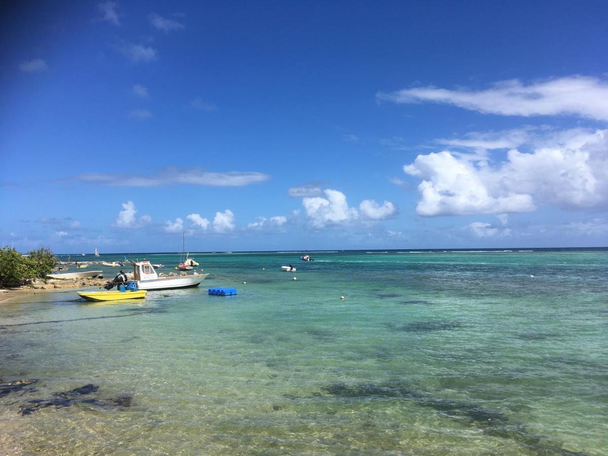 Villa Guadeloupe Saint Francois Acces Mer Piscine Iguana Bay - Villa Zagadi Dış mekan fotoğraf