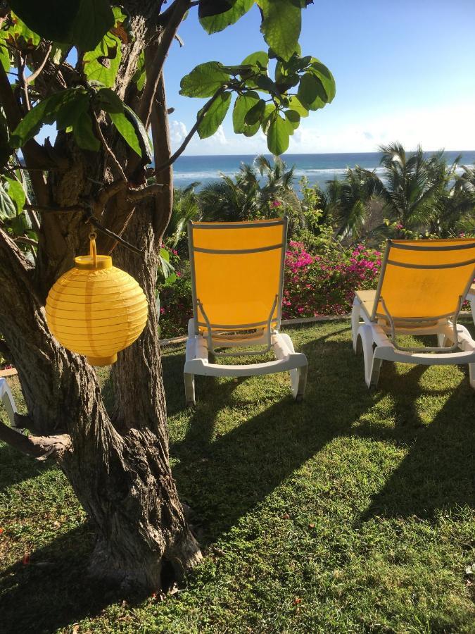 Villa Guadeloupe Saint Francois Acces Mer Piscine Iguana Bay - Villa Zagadi Dış mekan fotoğraf